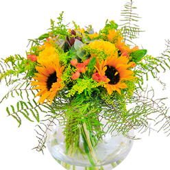 With its exuberant medley of sunflowers, golden garden roses, and lively berries, this bouquet seems to capture the heart of Longford's sunniest days and rural spirit. Arranged with flourish in a rounded, fishbowl-style glass vase, the display is illuminated by bold sunflowers whose radiant petals arc outward and whose deep brown centres provide a striking visual anchor-echoing the golden fields that fringe suburban Longford. Velvety yellow roses spiral open beside them, their full, generous blooms lending the bouquet an air of classic sophistication. Pops of glossy, ruby-red hypericum berries are playfully tucked throughout, like sweet discoveries along a garden path not far from Minet Country Park. Cascading ferns and textured greenery, including goldenrod with its airy clusters of tiny yellow flowers, envelop the bouquet in lush movement and depth, reminiscent of the riverside thickets along the Grand Union Canal. Hints of silvery eucalyptus bring a cool contrast, softening the composition. Through the crystal-clear water of the vase, vibrant green stems interlace, underscoring the freshness and artistry of the arrangement. The overall presentation evokes celebration-perfect for a special occasion, as a thoughtful surprise for a loved one, or as a centerpiece that brings a little of Longford's countryside charm right into the home. The bouquet's gentle scent and cheerful palette make it a favorite choice for local gatherings and heartfelt memories.
